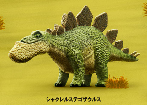 シャクレルステゴサウルス